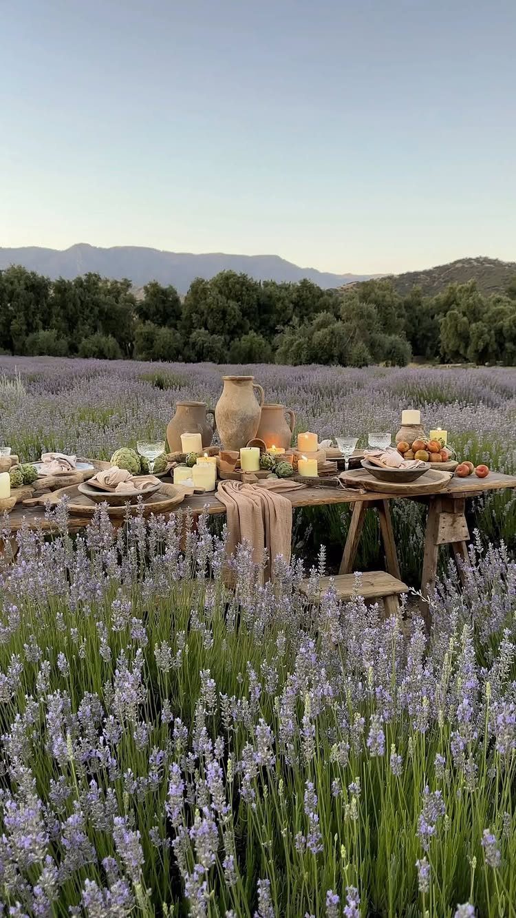 Wooden dinner table set with food and candles in a purple lavender field.