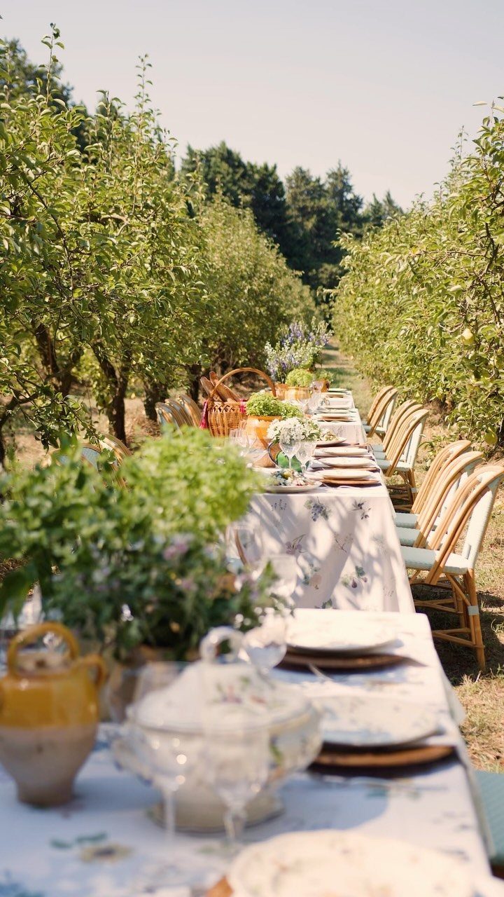 Long dining table set with floral linens and plates in a sunny fruit orchard