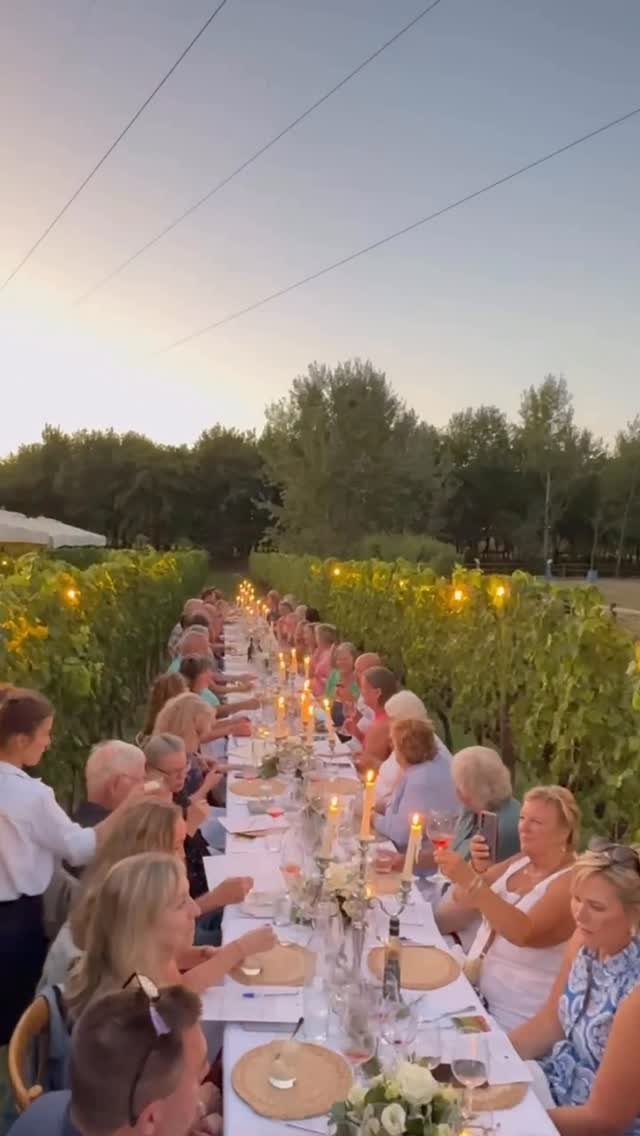 Long dinner table set in a vineyard with guests and candles at dusk.