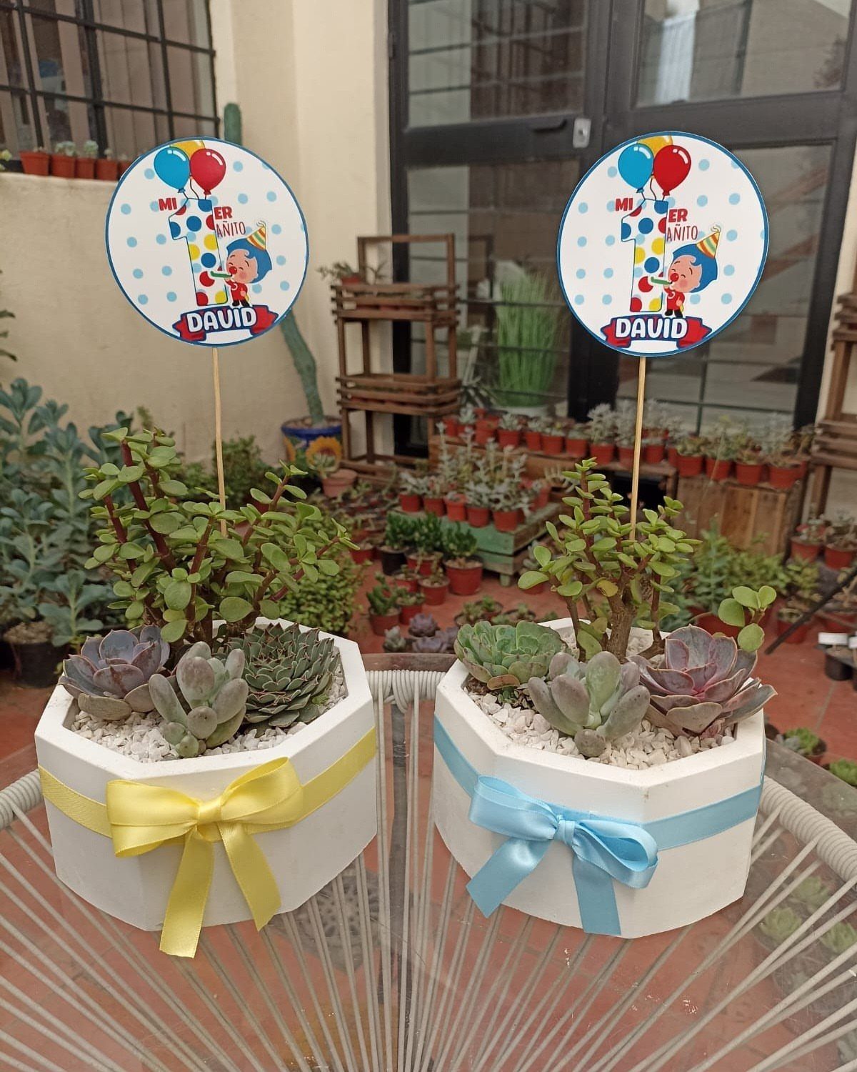 Two white hexagonal succulent planters with colorful ribbons and birthday party toppers.