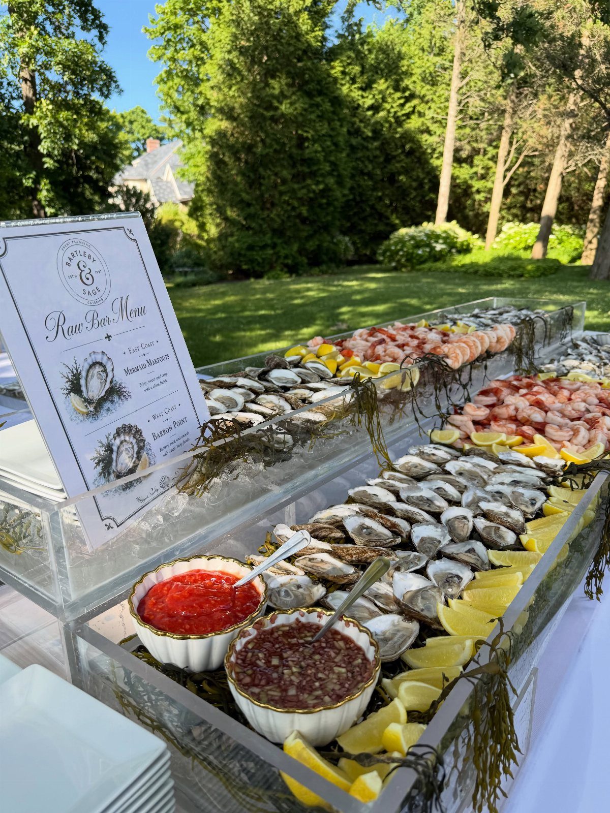 Seafood raw bar with oysters and shrimp on ice in a sunny garden.
