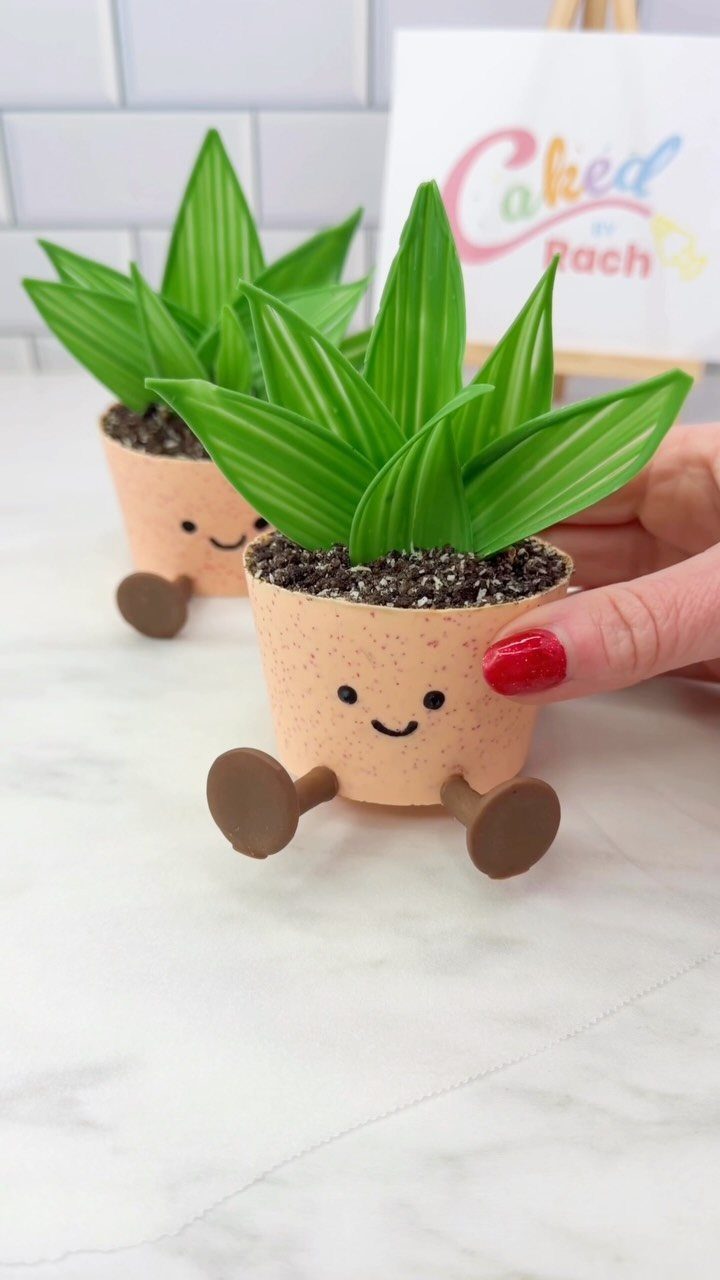 Two small potted plant cakes with smiling faces and green pointed leaves.