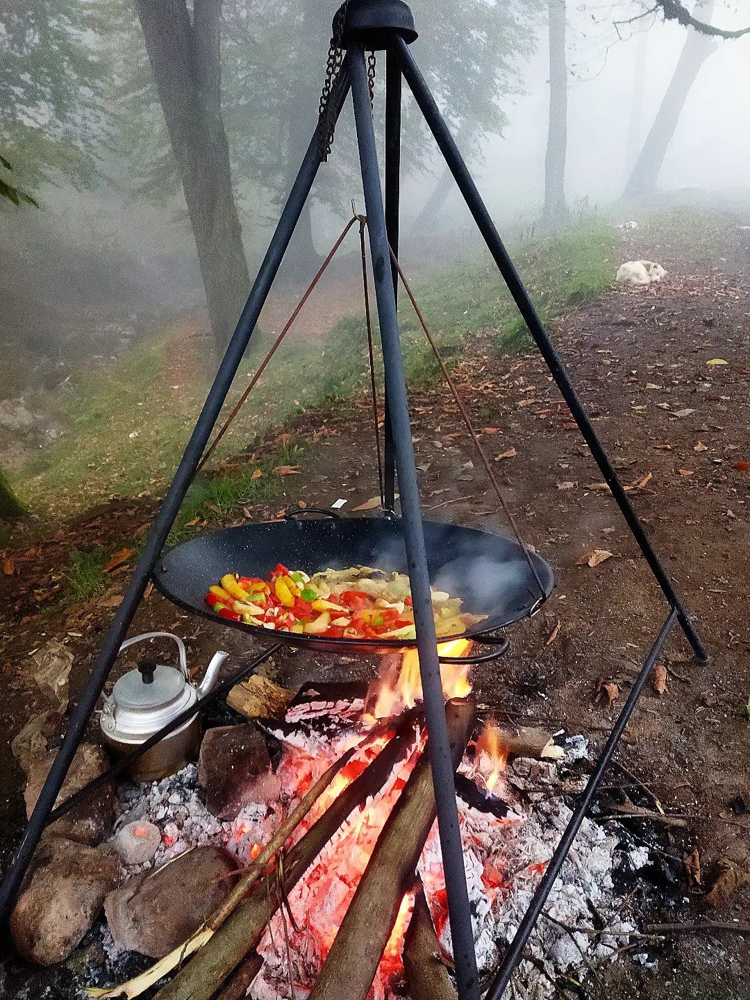 Colorful sliced vegetables cooking in a wok over a campfire in foggy woods