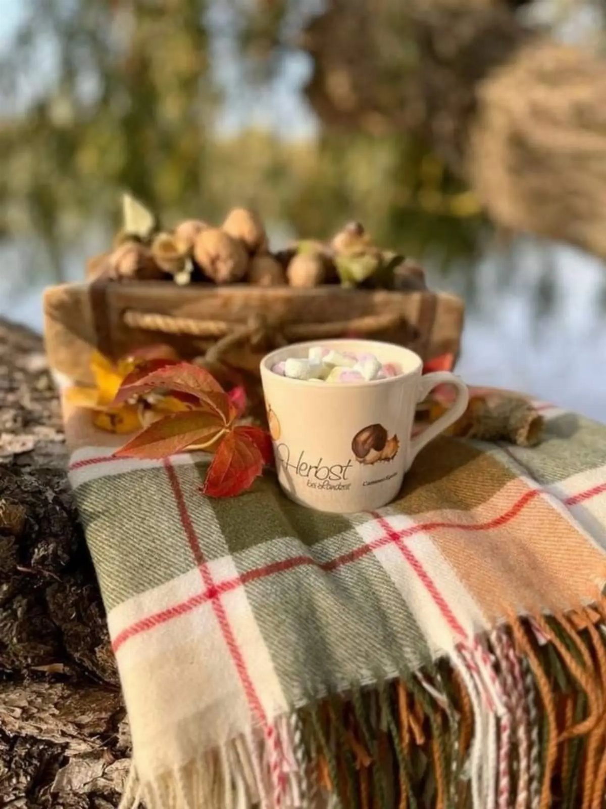 Hot chocolate with marshmallows in a mug on a plaid autumn blanket.