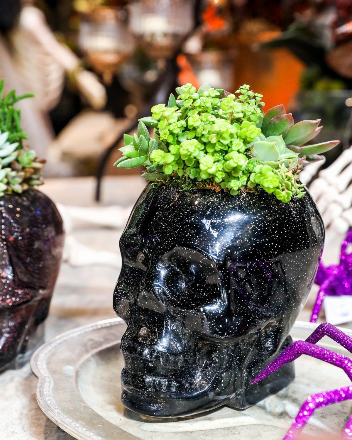 Black glittery skull planter filled with green succulents on a silver tray