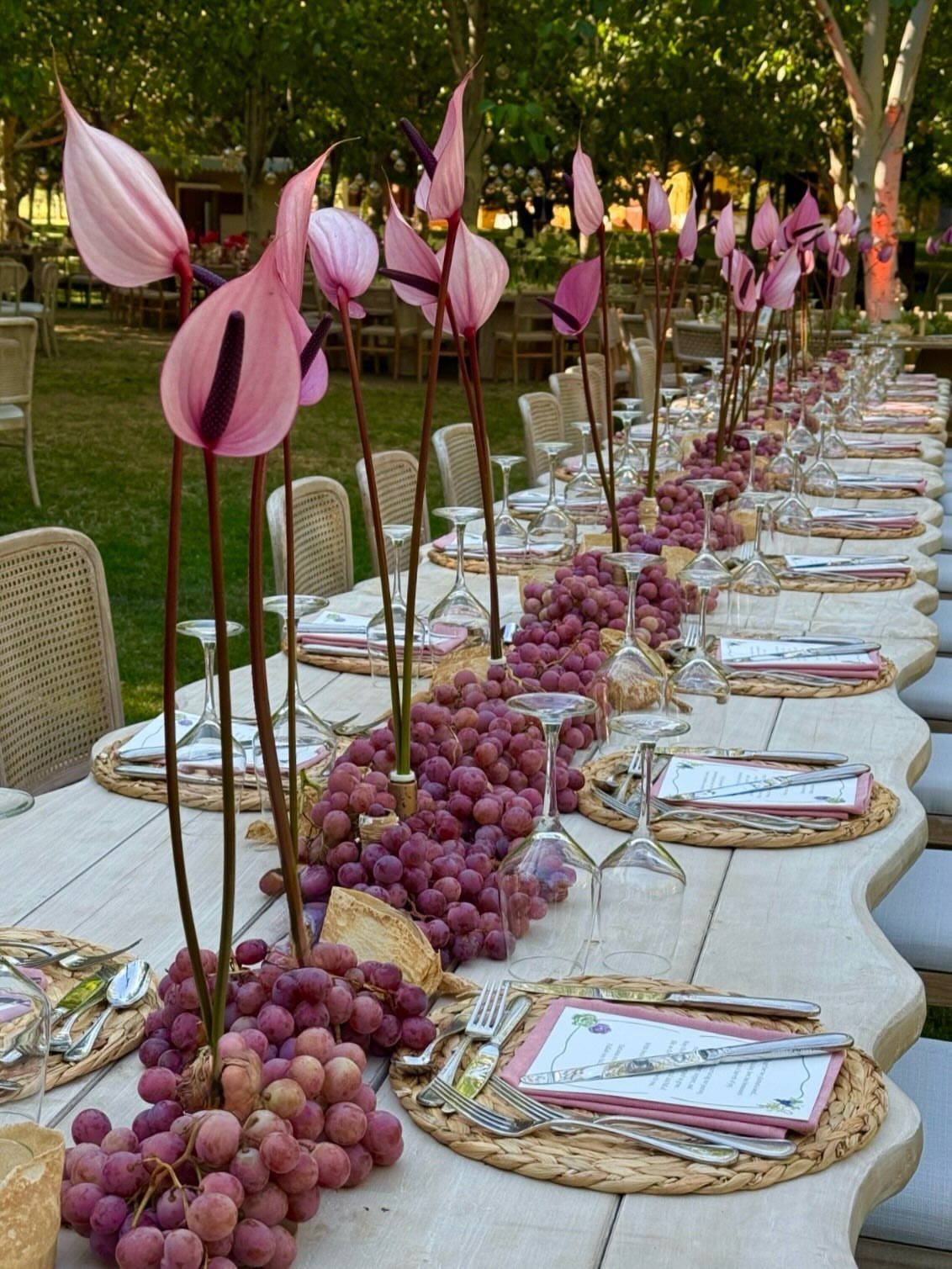 Long white dining table decorated with purple grapes and tall pink anthurium flowers.