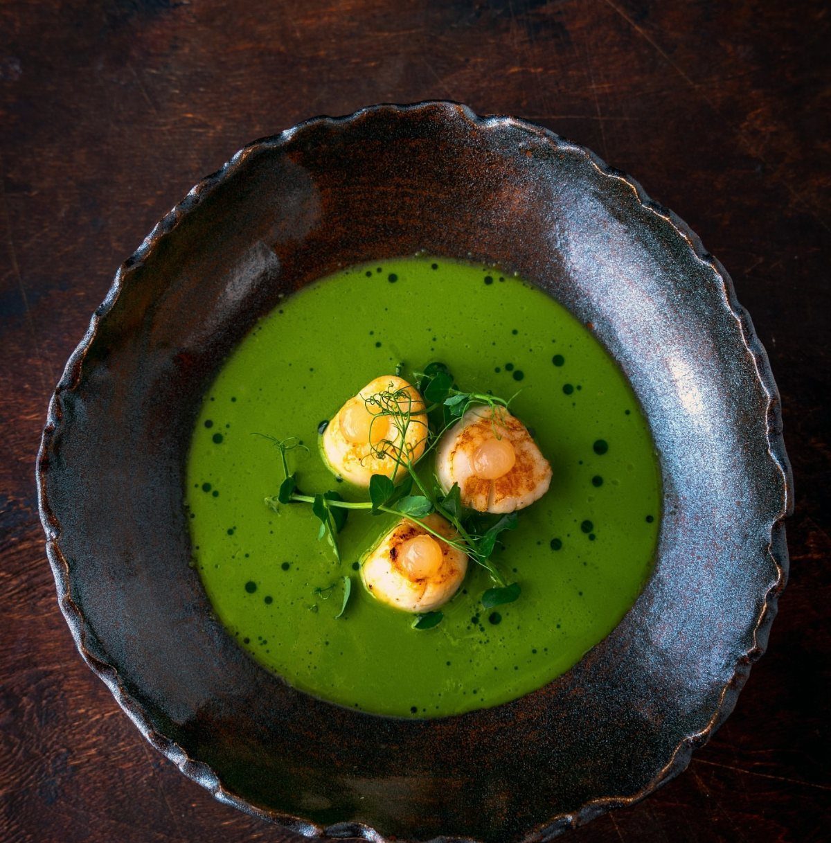 Seared scallops in a bright green puree garnished with microgreens in a dark bowl.