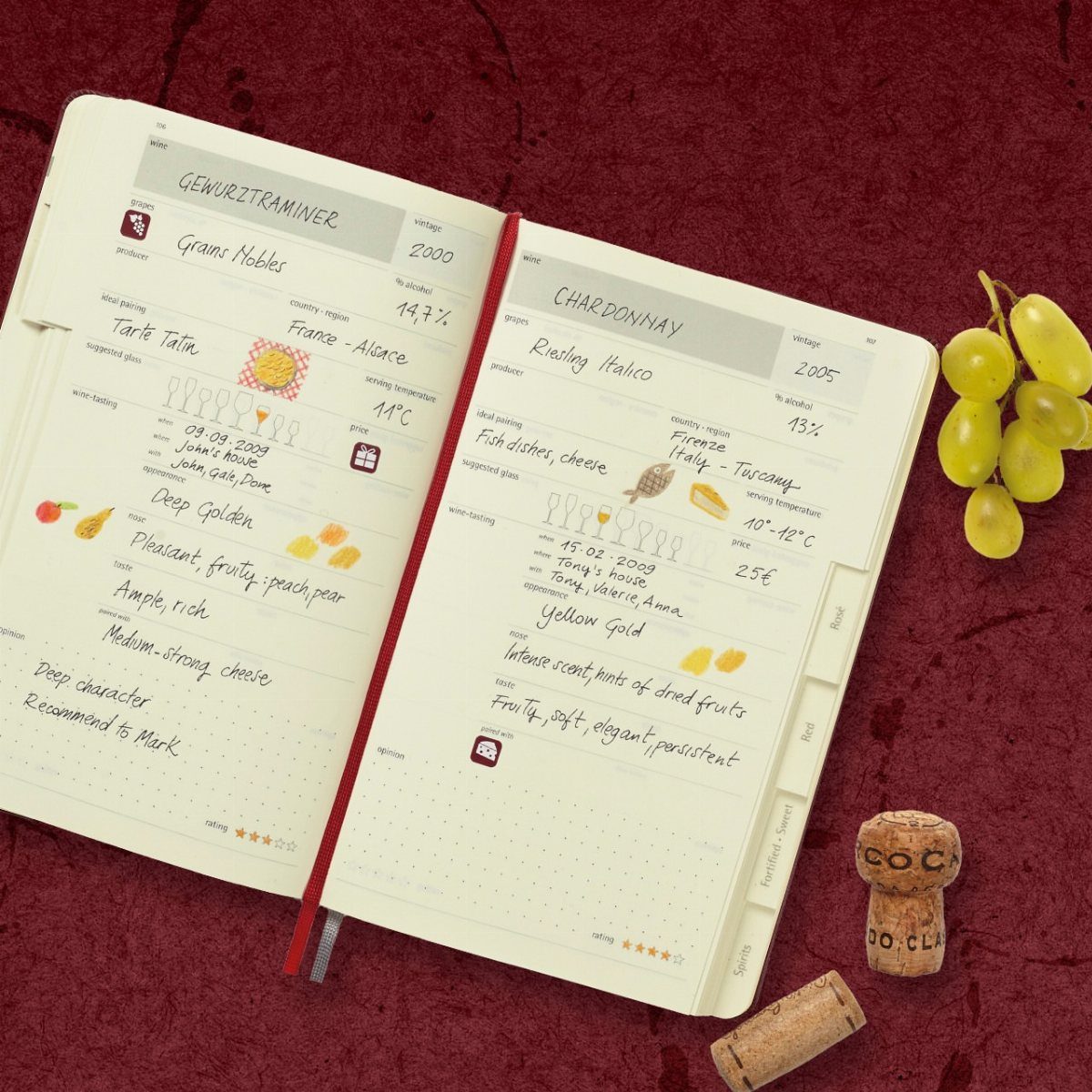 Open notebook with handwritten wine tasting notes, green grapes, and corks on red background